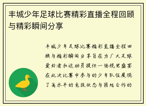 丰城少年足球比赛精彩直播全程回顾与精彩瞬间分享